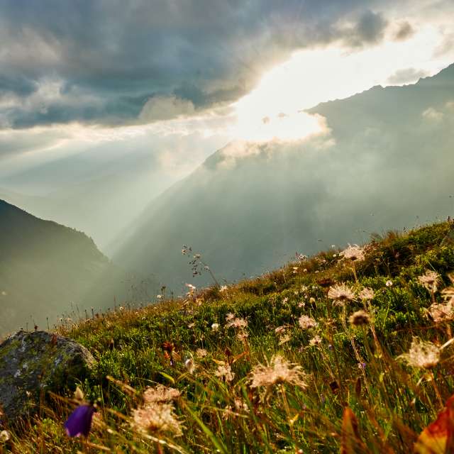 Weather forecasts with beautiful photos by jpfoto