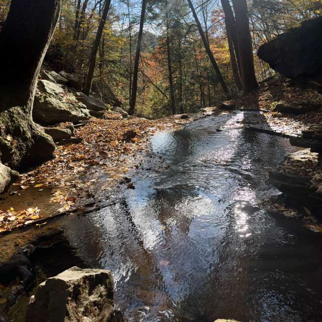 Enclosure. Weather forecasts with beautiful photos by Kcarroll Photos in World