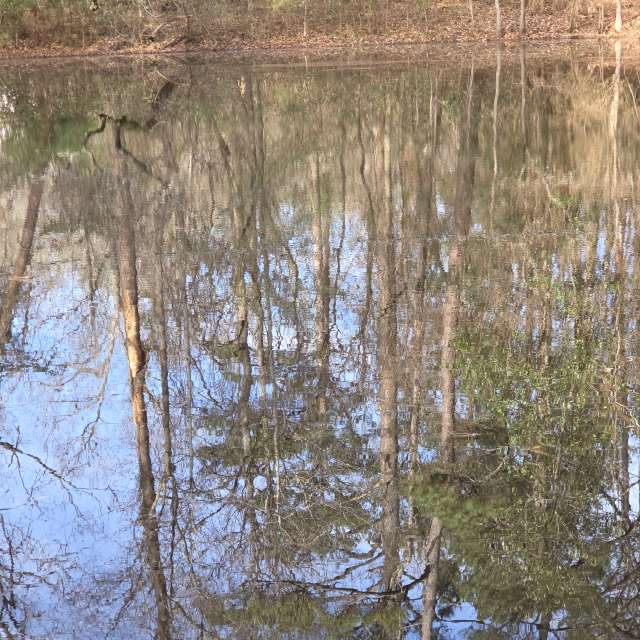 Brown. Weather forecasts with beautiful photos by Sliding9 Photos in World