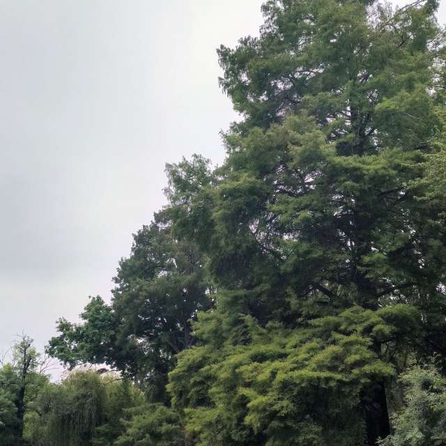 Fotos del Conduciendo. Pronósticos del tiempo con hermosas fotos de YanBog en București