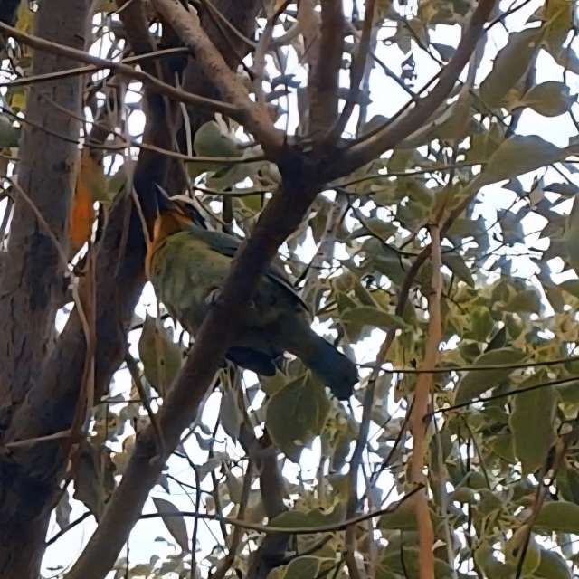Covered. Weather forecasts with beautiful photos by Wen-ya Huang Photos in Kaohsiung City