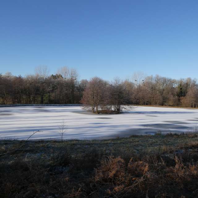 Прогнозы погоды с чудесными фотографиями, сделанными Fredy_Hiker