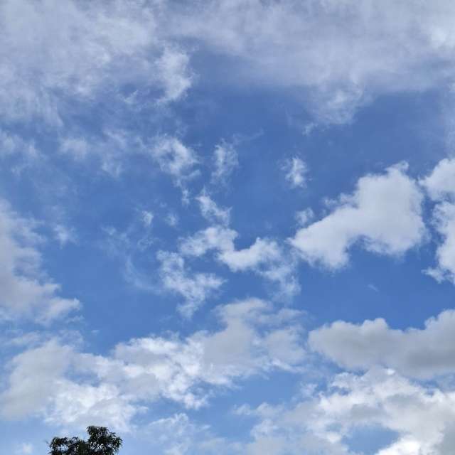 Photos Cerf-volant. Prévisions météo avec de superbes photos de Wen-ya Huang de Kaohsiung