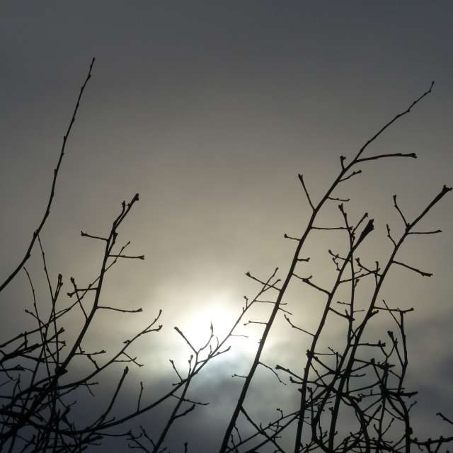 Прогнозы погоды с чудесными фотографиями, сделанными BijanZ