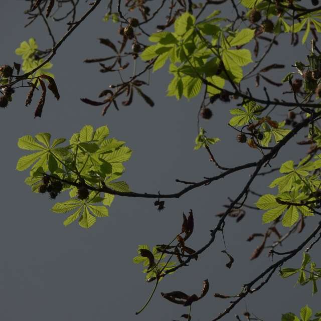 Fotos Obloha. Previsões do tempo com lindas fotos de Vasek325 em Praha 5