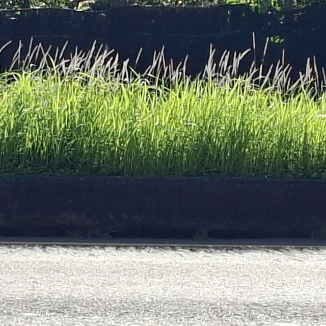 Front. Weather forecasts with beautiful photos by Wen-ya Huang Photos in Kaohsiung City