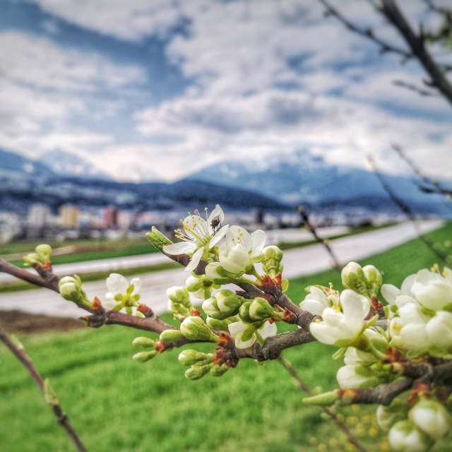 Weather forecasts with beautiful photos by deine_augenblicke_tirol