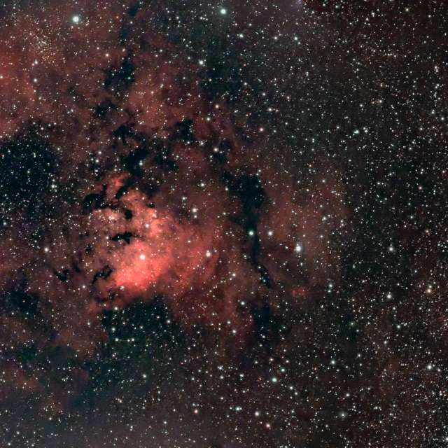 世界的天气照片. 天气预报，带NikolayPaunchev精美的照片