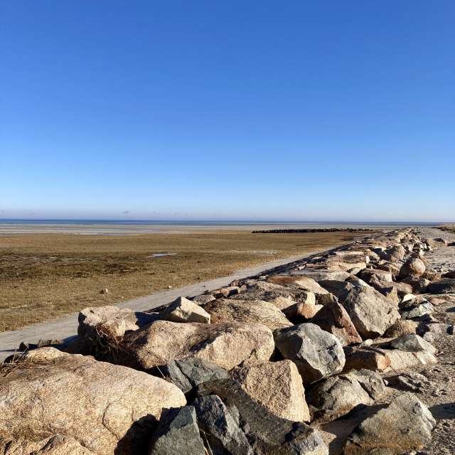 Fotos del De pie. Pronósticos del tiempo con hermosas fotos de prairiesands en Cape Cod