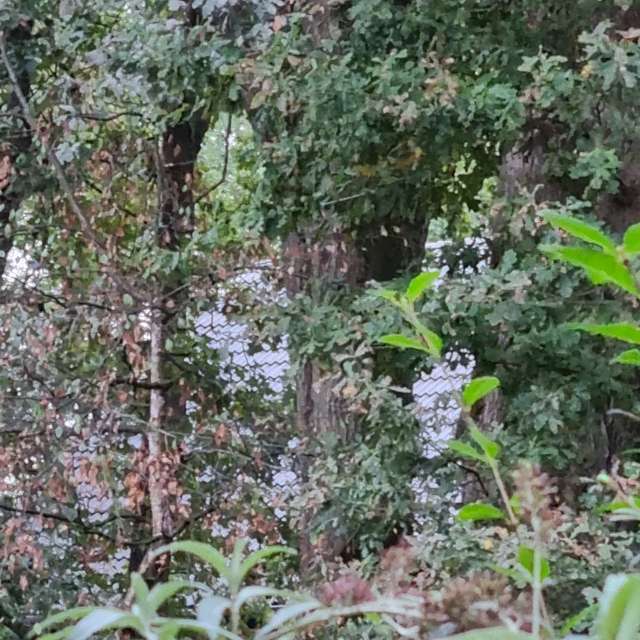 Greetの美しい写真による天気予報