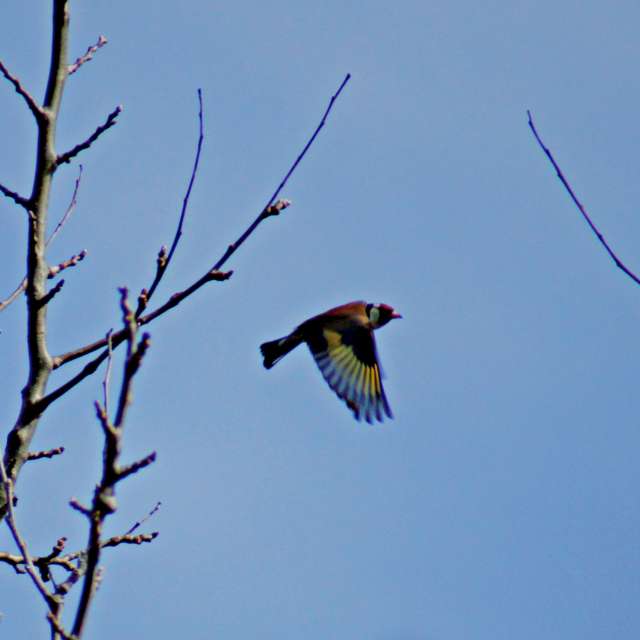 Animal. Weather forecasts with beautiful photos by tony5636 Photos in Calvisson