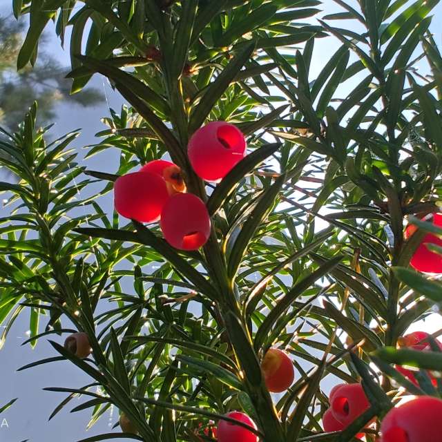 Prévisions météo avec de superbes photos de UnKKas