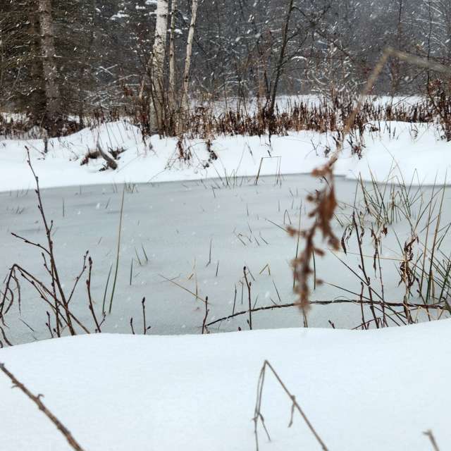 Pronósticos del tiempo con hermosas fotos de imamoonpuppy
