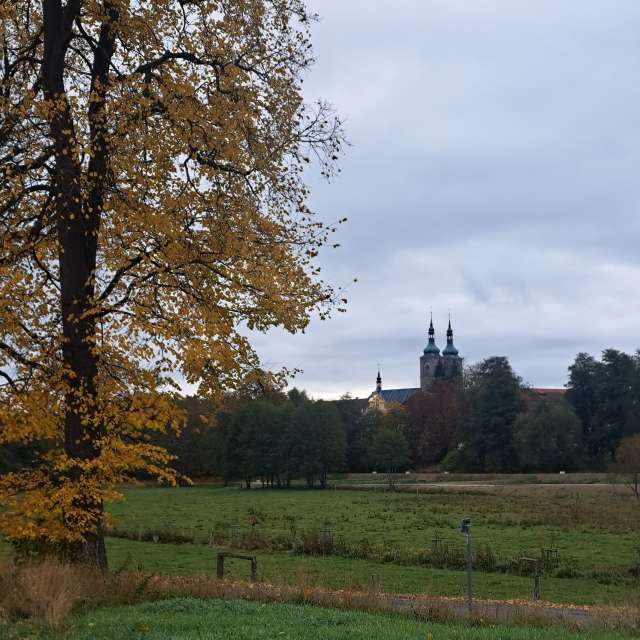 Pasture. Weather forecasts with beautiful photos by Sviatoslav Photos in World