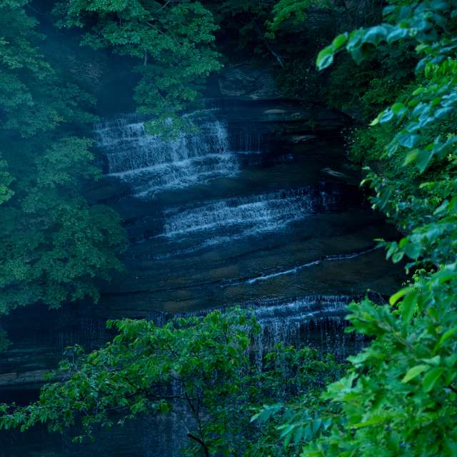 Forest. Weather forecasts with beautiful photos by krantzjh Photos in Clifty Falls State Park
