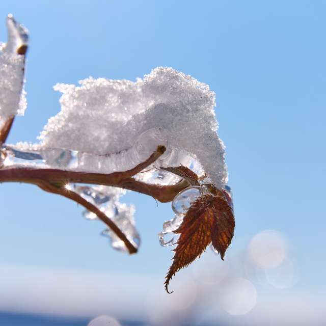 Прогнозы погоды с чудесными фотографиями, сделанными Aleh_Narushevich