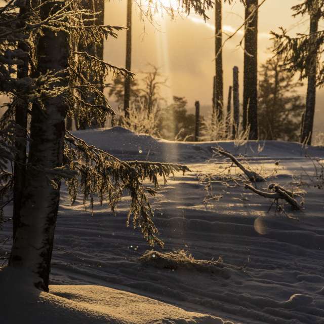 Фотографии Погоды в Мир. Прогнозы погоды с чудесными фотографиями, сделанными Nymph542
