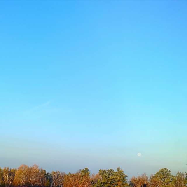 天气预报，带Lara357精美的照片