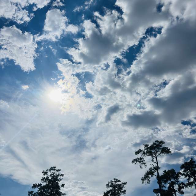 天气预报，带RWDacy_SkyArt精美的照片