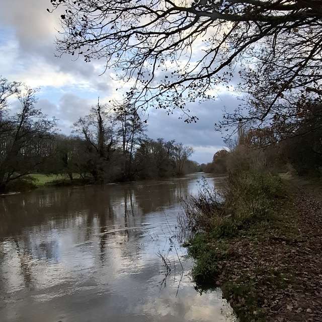 Lolliの美しい写真による天気予報