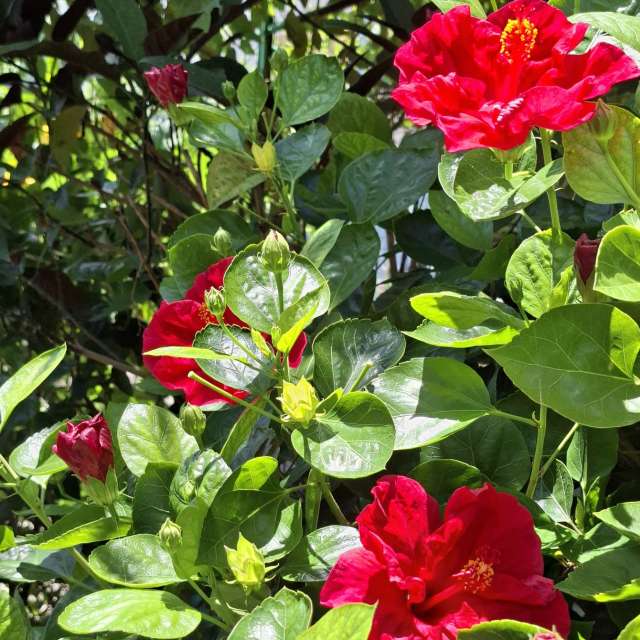 Many. Weather forecasts with beautiful photos by Wen-ya Huang Photos in Kaohsiung City