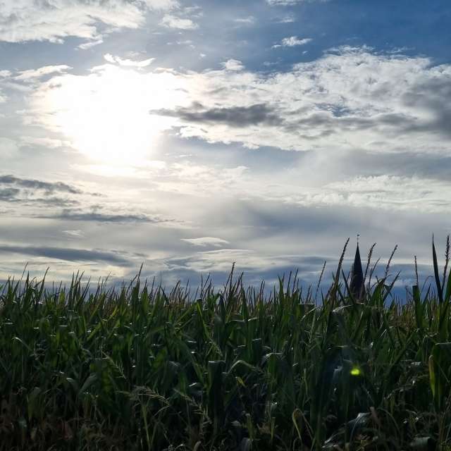 Niagaraの美しい写真による天気予報
