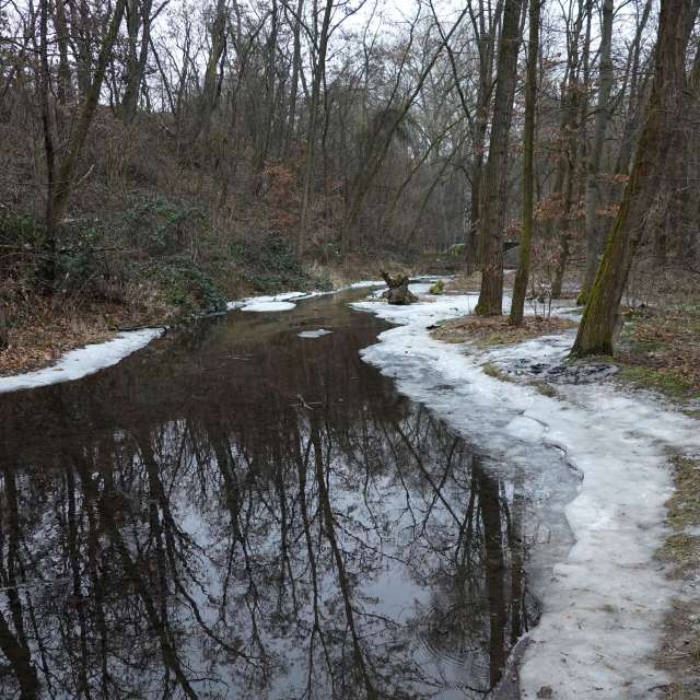 Fotos Madeira. Previsões do tempo com lindas fotos de Vasek325 em Praha 12