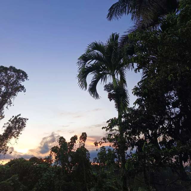 Previsões do tempo com lindas fotos de lcruz23