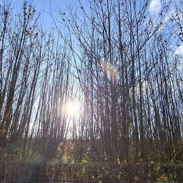 Previsões do tempo com lindas fotos de Lolli