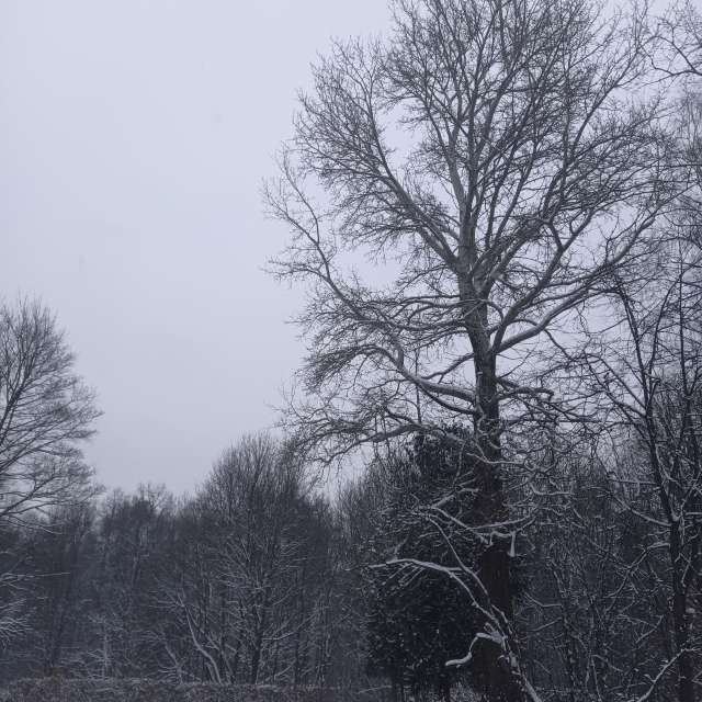 Group. Weather forecasts with beautiful photos by Amanda_and_Valdemar_Che Photos in Izmaylovo District