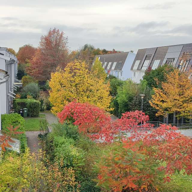 Railway. Weather forecasts with beautiful photos by Tercis Photos in Ettlingen