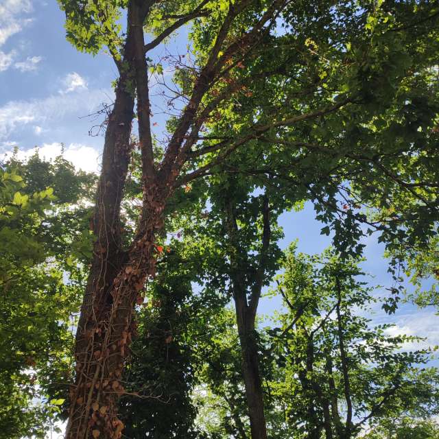Food. Weather forecasts with beautiful photos by Tercis Photos in Ettlingen