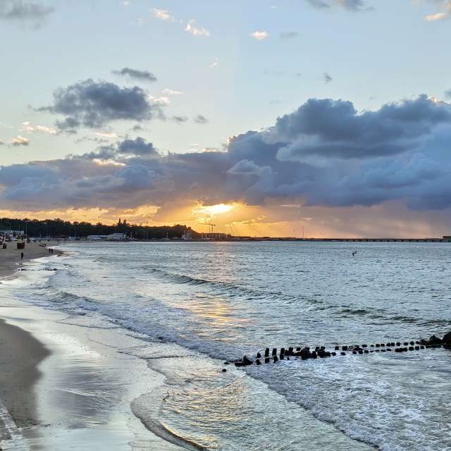 Fotos A lei. Previsões do tempo com lindas fotos de Михаил Бондаренко em Pionerskiy