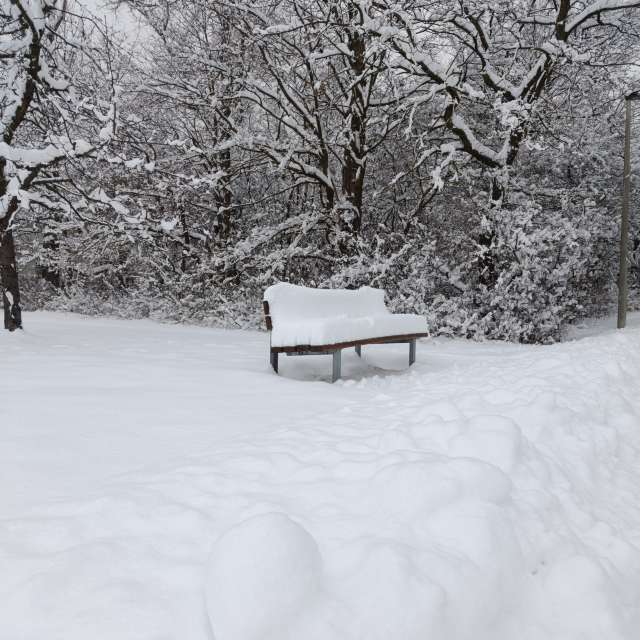 accoteの美しい写真による天気予報