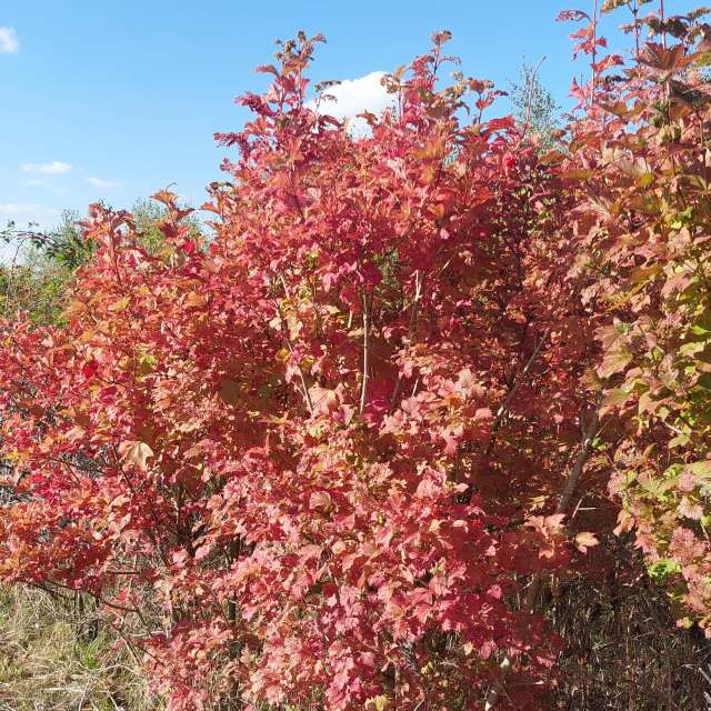 Previsões do tempo com lindas fotos de MaLou