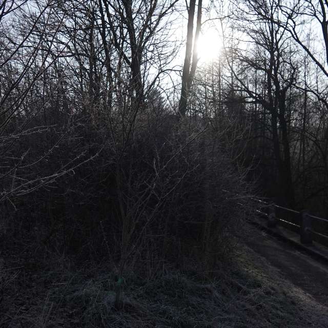 Fotos Paisagem. Previsões do tempo com lindas fotos de Vasek325 em Praha 5