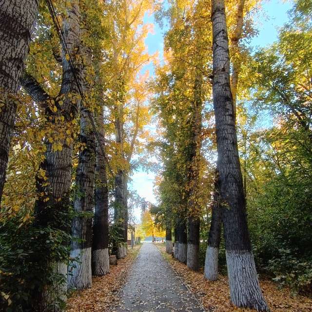 Fotos Abordado. Previsões do tempo com lindas fotos de ЮлЯШа em Gorodckoy Pliazh V Parke "Samal"