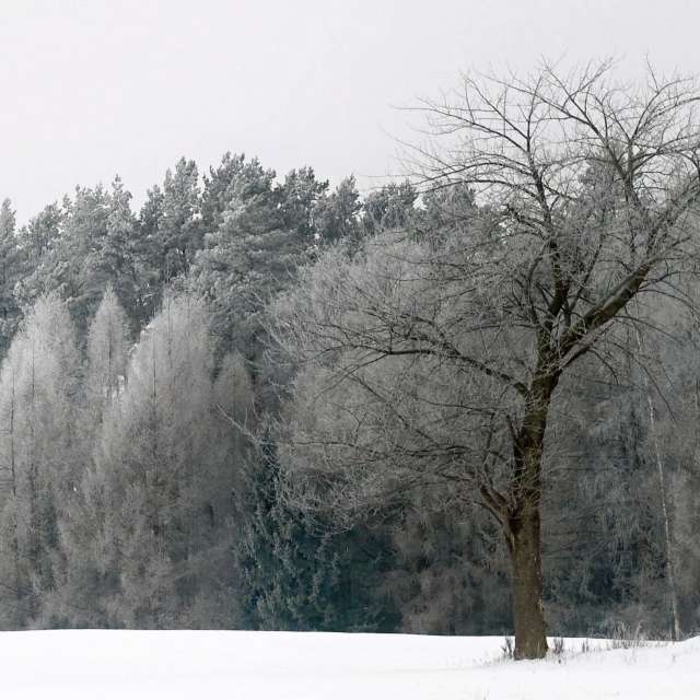 Weather forecasts with beautiful photos by T-Antonio