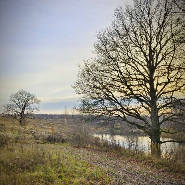 天气预报，带Aleksei精美的照片