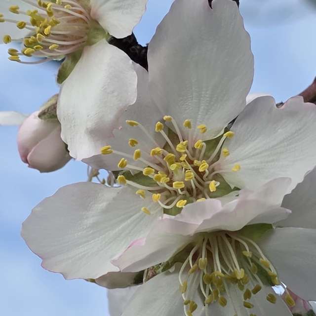 Weather forecasts with beautiful photos by Brtd