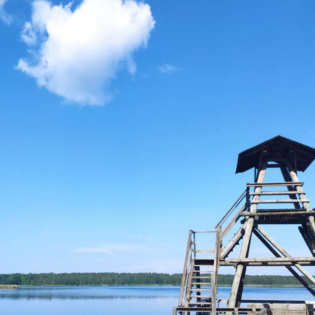 天气预报，带newgen精美的照片