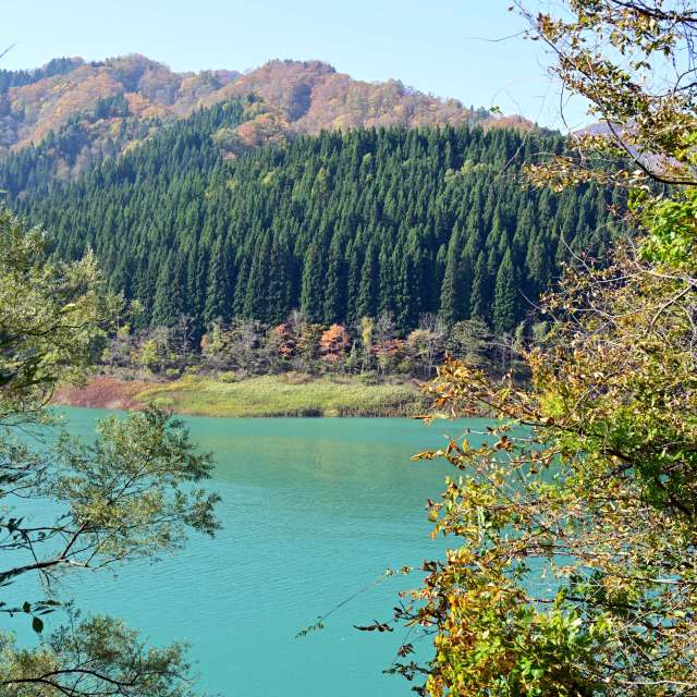 Weather forecasts with beautiful photos by yoshy