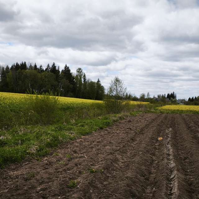 Man. Weather forecasts with beautiful photos by Valiukas Photos in Lithuania
