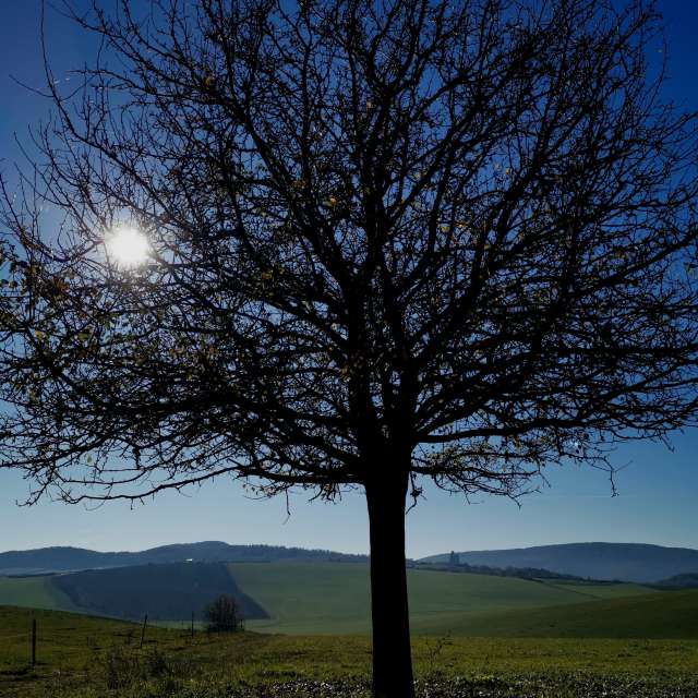 Weather forecasts with beautiful photos by Vcsaba22