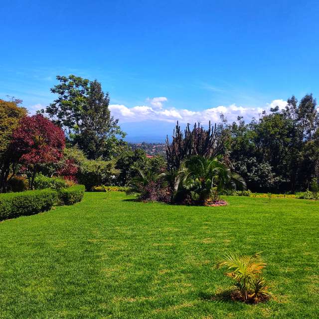 Wakarimaの美しい写真による天気予報