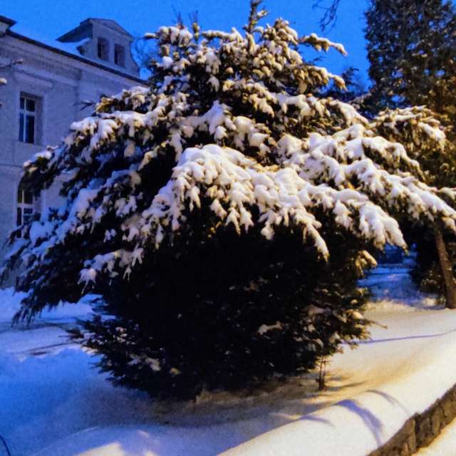 Luft. Wettervorhersagen mit schönen Fotos von Kripo Fotos Ladek Zdroj