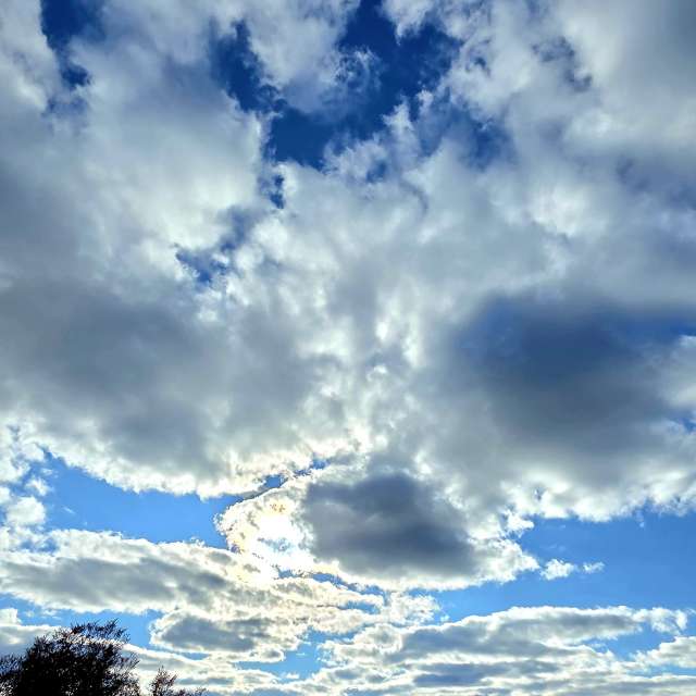 Weather forecasts with beautiful photos by Camelyon