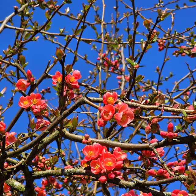 Tower. Weather forecasts with beautiful photos by Seni Photos in Velbert