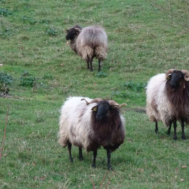 Field. Weather forecasts with beautiful photos by Rikar Gartzia Photos in World