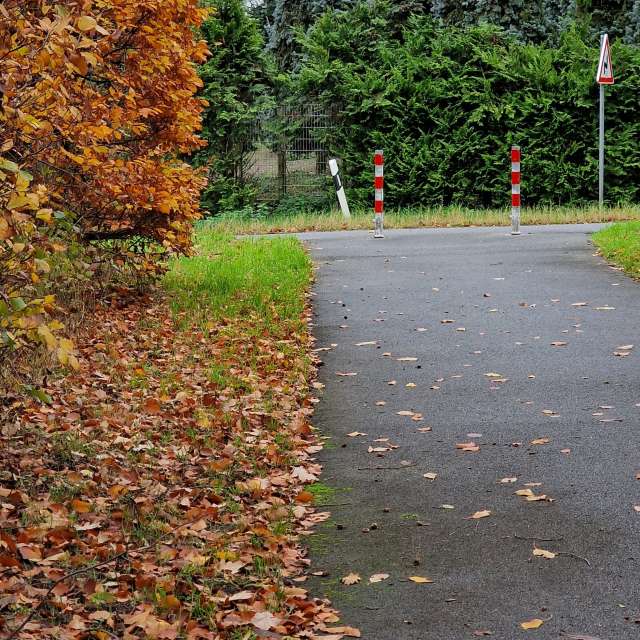 Wettervorhersagen mit schönen Fotos von wsantosphotos